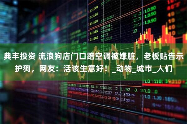 典丰投资 流浪狗店门口蹭空调被嫌脏，老板贴告示护狗，网友：活该生意好！_动物_城市_人们