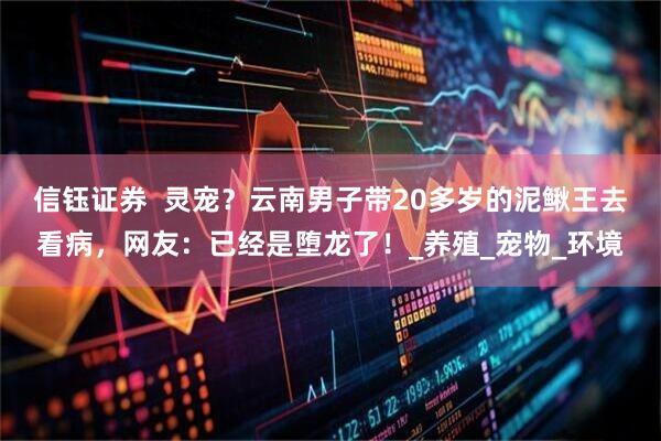 信钰证券  灵宠？云南男子带20多岁的泥鳅王去看病，网友：已经是堕龙了！_养殖_宠物_环境