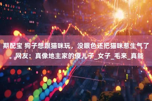 期配宝 狗子想跟猫咪玩，没眼色还把猫咪惹生气了。网友：真像地主家的傻儿子_女子_毛来_真能