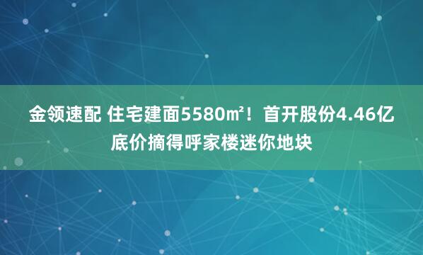 金领速配 住宅建面5580㎡！首开股份4.46亿底价摘得呼家楼迷你地块
