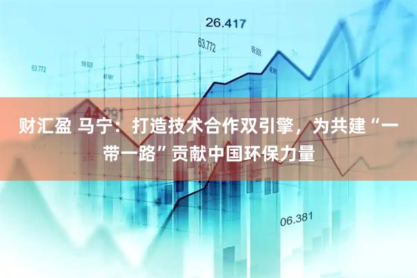财汇盈 马宁：打造技术合作双引擎，为共建“一带一路”贡献中国环保力量