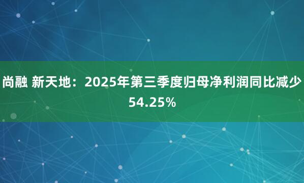尚融 新天地：2025年第三季度归母净利润同比减少54.25%