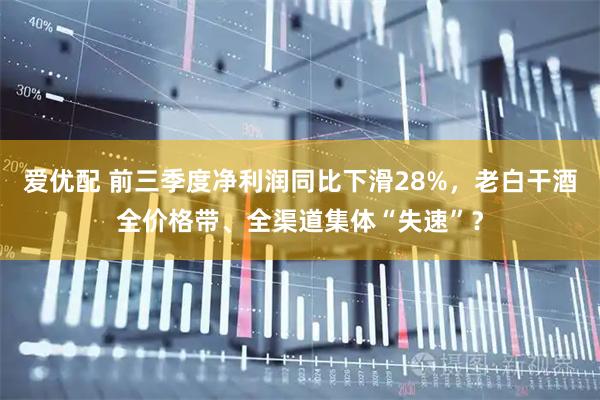 爱优配 前三季度净利润同比下滑28%，老白干酒全价格带、全渠道集体“失速”？