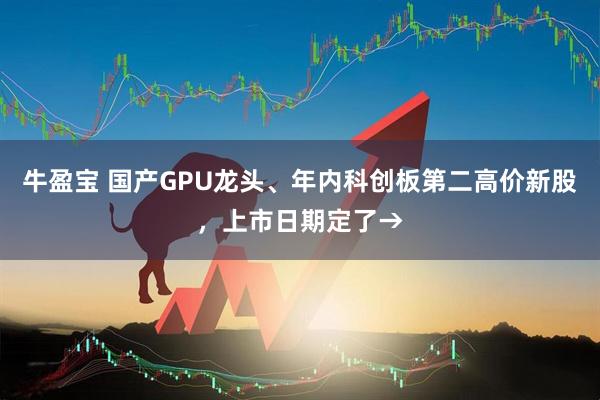 牛盈宝 国产GPU龙头、年内科创板第二高价新股，上市日期定了→